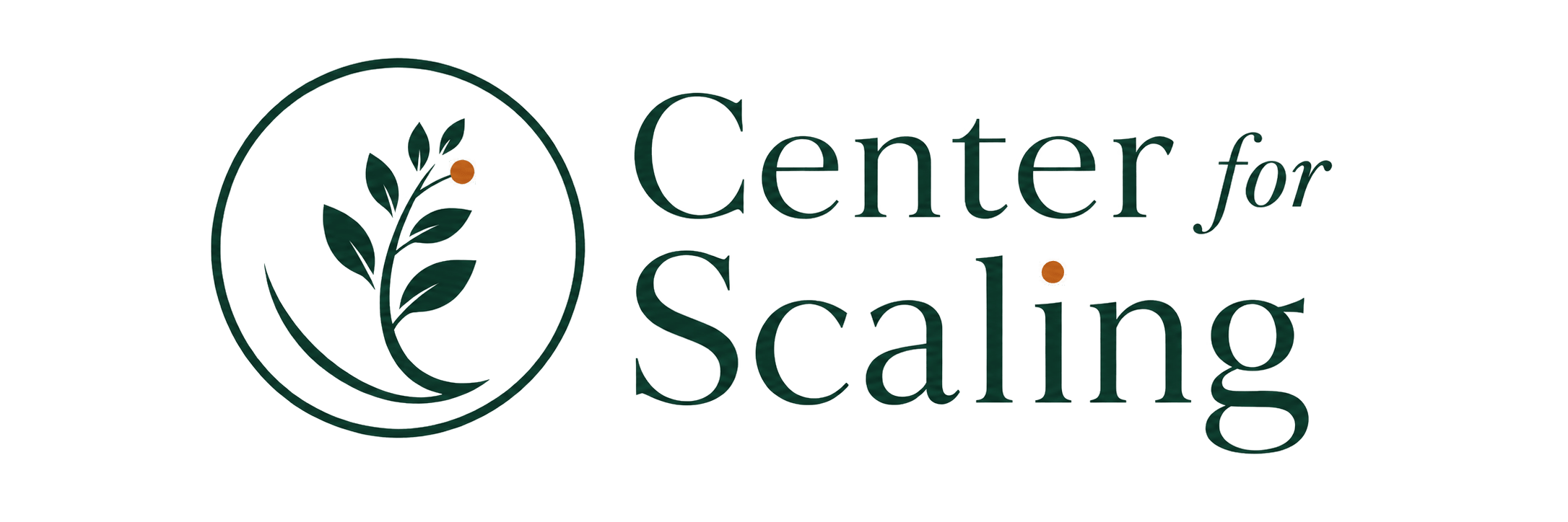 Center for Scaling