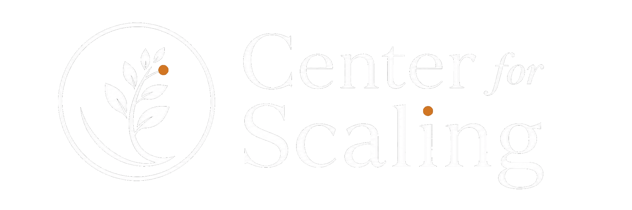Center for Scaling