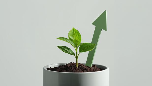 Illustration of a plant growing with an upward arrow — representing expert practice growth